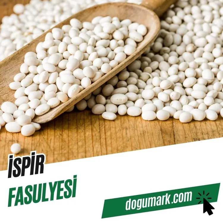 ISPIR FASULYESI KG