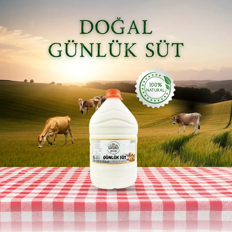 GUNLUK SUT 5 L
